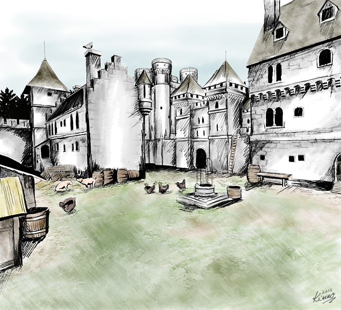 2015-08-15 castle roskov